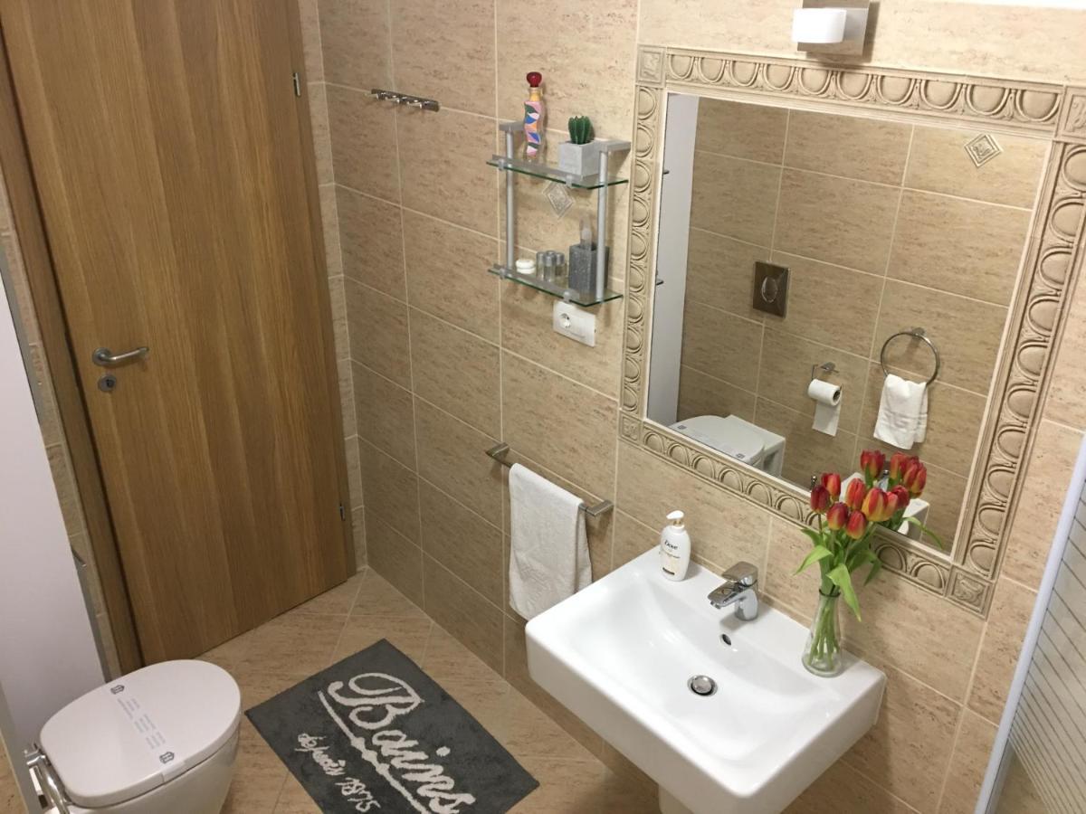 Elegantza Suites Брашов Экстерьер фото