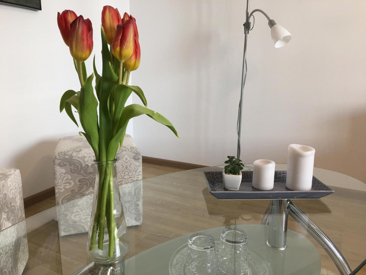 Elegantza Suites Брашов Экстерьер фото